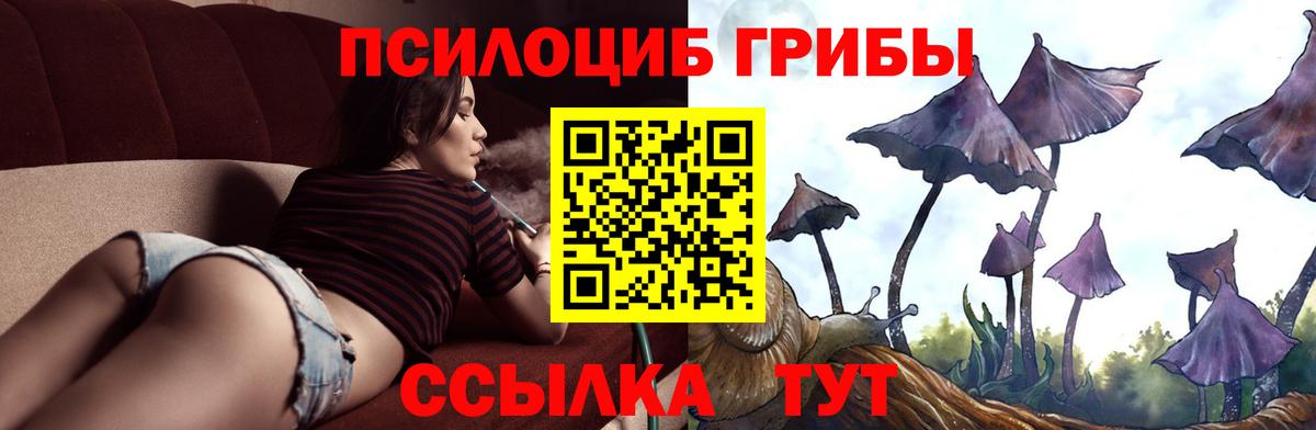 Галлюциногенные грибы MAGIC MUSHROOMS  Вход с VPN  где можно купить наркотик  Псилоцибиновые грибы Cubensis  Кушва 